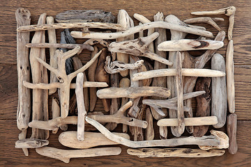 Image showing Driftwood Beauty