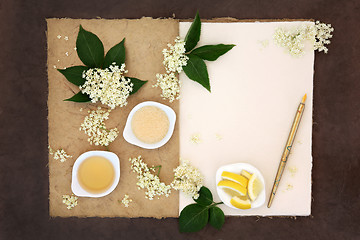 Image showing Elderflower Champagne Ingredients