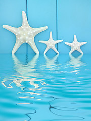 Image showing Starfish Abstract