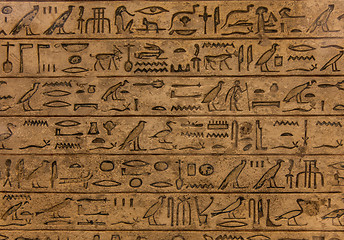 Image showing Hieroglyph