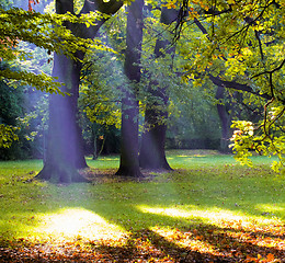 Image showing God beams in Park