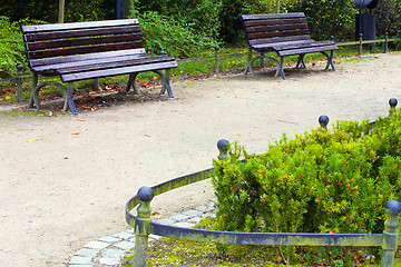 Image showing Footpath in park