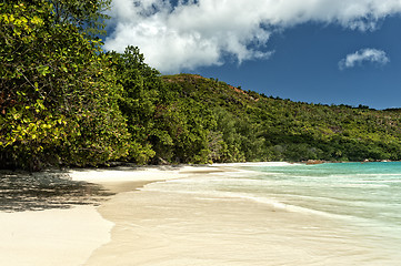Image showing lovely tropical beach