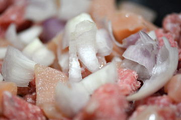 Image showing raw meat with onion on the plate