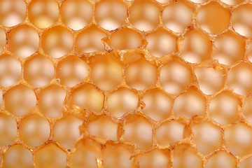 Image showing honeycomb background