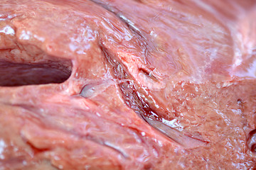 Image showing macro raw liver with blood