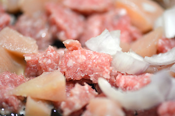 Image showing raw meat with onion on the plate