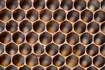 Image showing honeycomb background