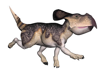 Image showing Dinosaur Protoceratops