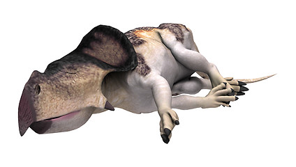 Image showing Dinosaur Protoceratops