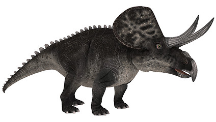 Image showing Dinosaur Zuniceratops