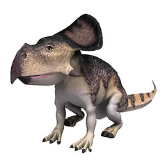 Image showing Dinosaur Protoceratops