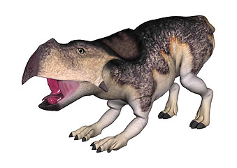 Image showing Dinosaur Protoceratops