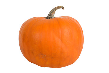 Image showing Pumpkin over white background