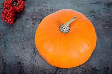 Image showing Upper view on the pumpkin