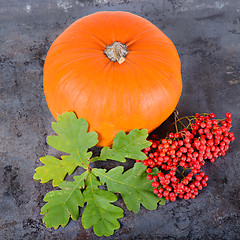 Image showing Square autumn composition