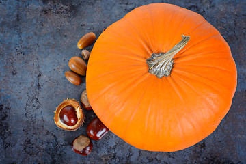 Image showing Top view in the pumpkin