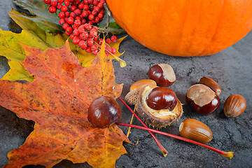 Image showing Autumn maple leaves with chestnuts and pumpkin