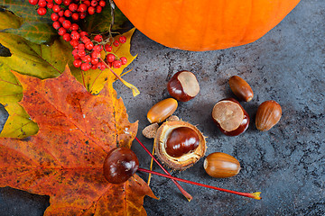 Image showing Autumn maple leaves with pumpkin and chestnuts