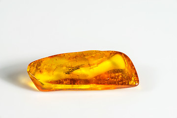 Image showing Amber with embedded insect