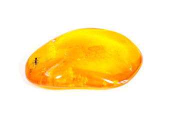 Image showing Amber with embedded insect