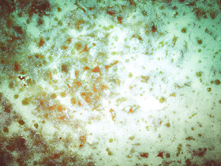 Image showing Retro look Pizza Margherita