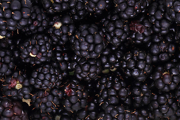Image showing blackberries background