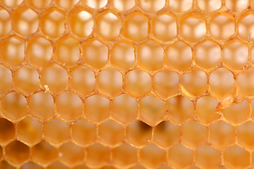 Image showing honeycomb background
