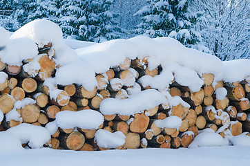 Image showing The cut logs in a winter wood under snowdrifts