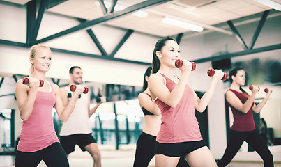 Image showing group of smiling people working out with dumbbells