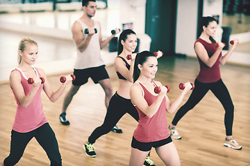 Image showing group of smiling people working out with dumbbells