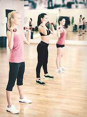 Image showing group of smiling people working out with dumbbells