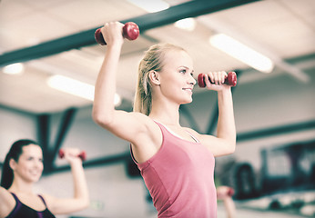 Image showing group of smiling people working out with dumbbells