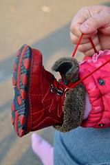 Image showing Arms lacing baby girl's shoe