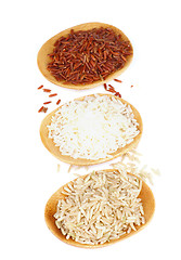 Image showing Various Rice