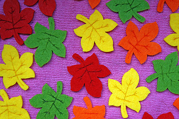 Image showing Yellow, red, orange and green Maple leaves out of felt on fabric