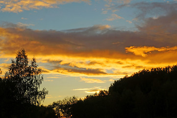 Image showing Black silhouettes of trees on a background of a bright sunset sk