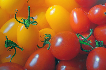 Image showing Red and yellow tomatoes 
