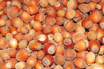 Image showing Hazelnuts close-up as background