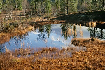 Image showing Reflective tarn