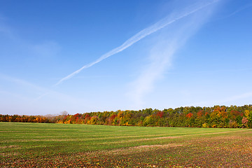 Image showing Picturesque autumn rural landscape
