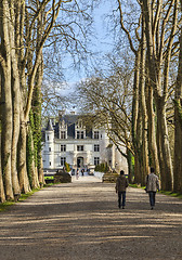 Image showing The Path to the Castle