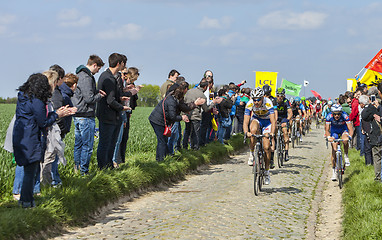 Image showing The Peloton- Paris Roubaix 2014