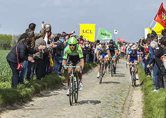 Image showing The Peloton- Paris Roubaix 2014