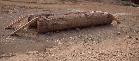 Image showing A wooden training log on the ground