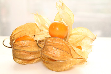 Image showing physalis fruit