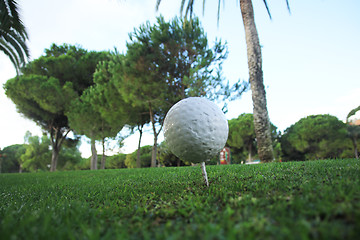 Image showing Golf Ball