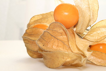 Image showing physalis fruit