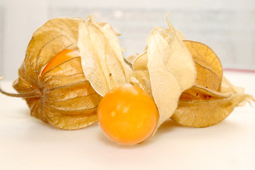 Image showing physalis fruit