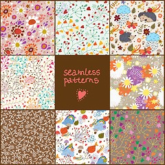 Image showing Set of eight colorful floral patterns